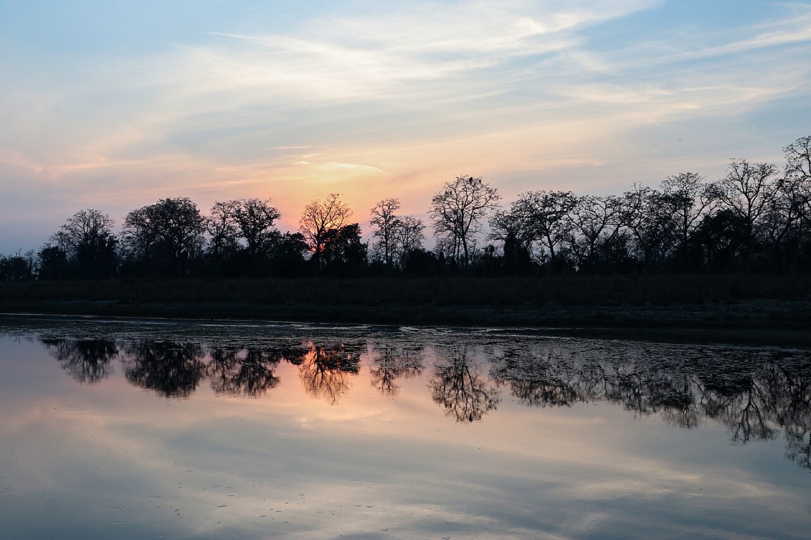Sunset over a still river channel fringed by sal forest in Bardia National Park, far-western Terai
