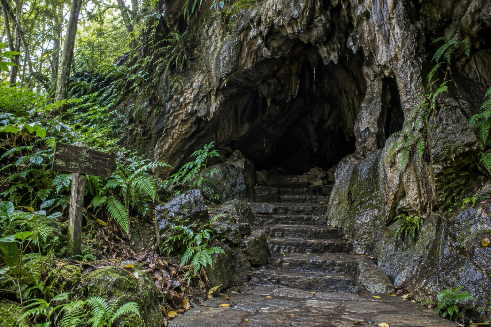 Stone steps leading into the mouth of the Bat Cave (Chamero Gufa) near Pokhara
