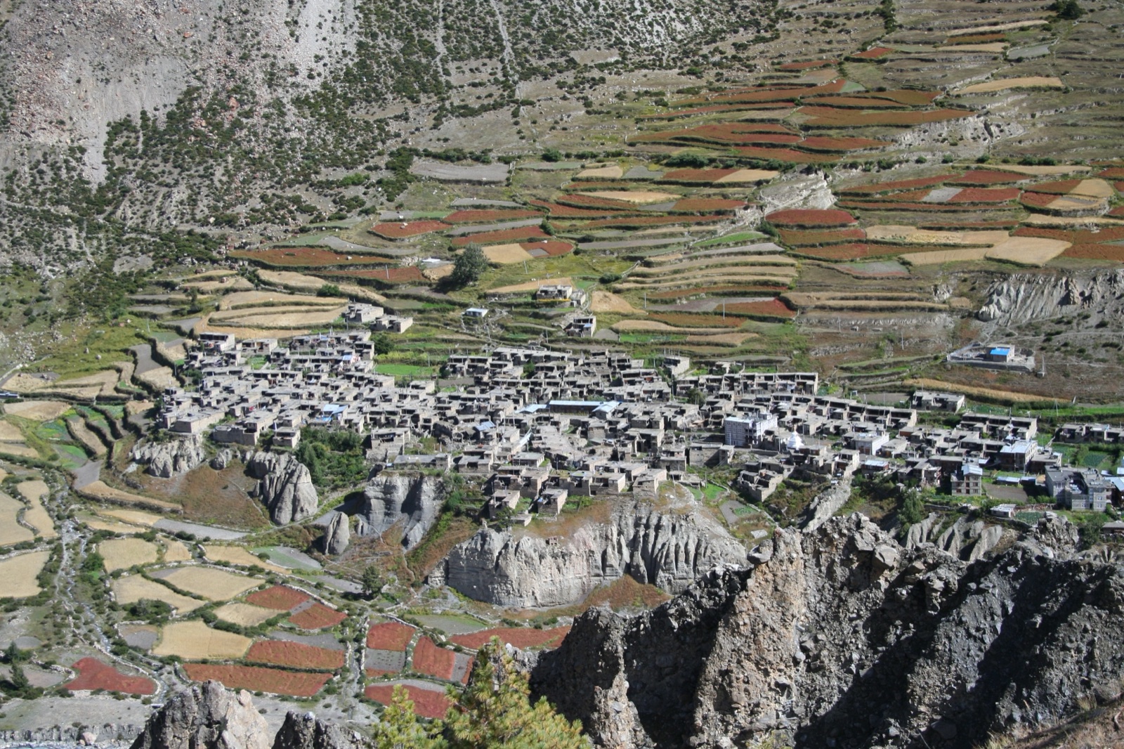 Manang village on the Annapurna Circuit, its flat-roofed stone houses above the Marsyangdi gorge and barley terraces