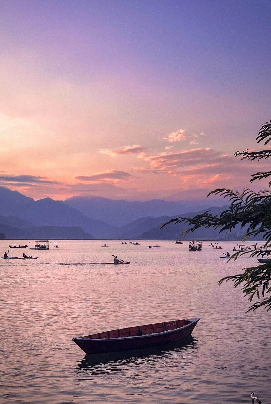 Wooden boats on Phewa Lake with the Annapurna range reflected in Pokhara, Nepal