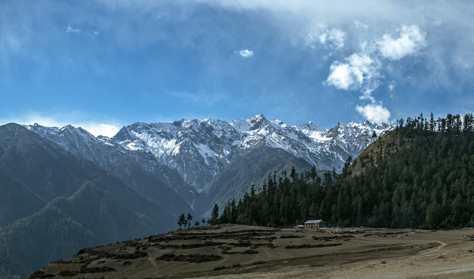 The dirt airstrip plateau at Simikot, Humla, with pine forest and snow peaks above the upper Karnali valley